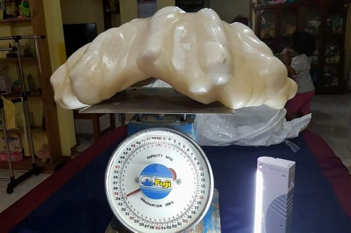 Giant Pearl Discovered in the Philippines: Palawan's New Treasure